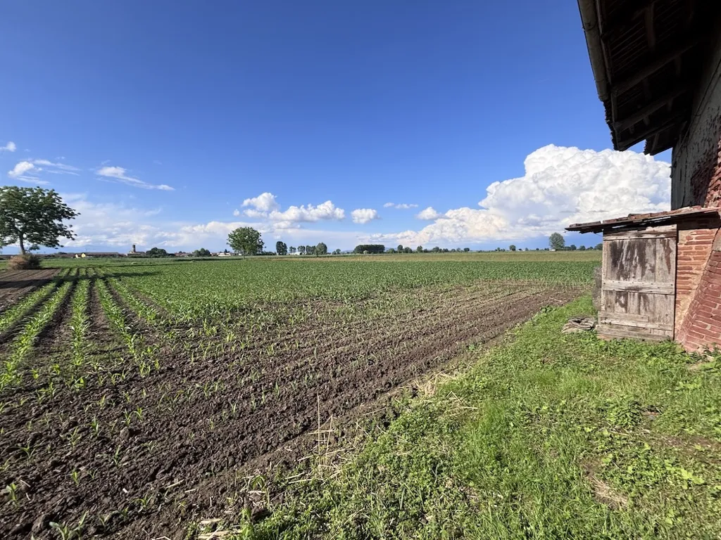 Aed - Rustic Cottage with Private Garden in Osasio