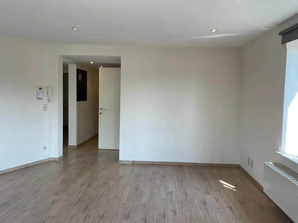 Toad - Light-Filled Flat with Terrace in Gent