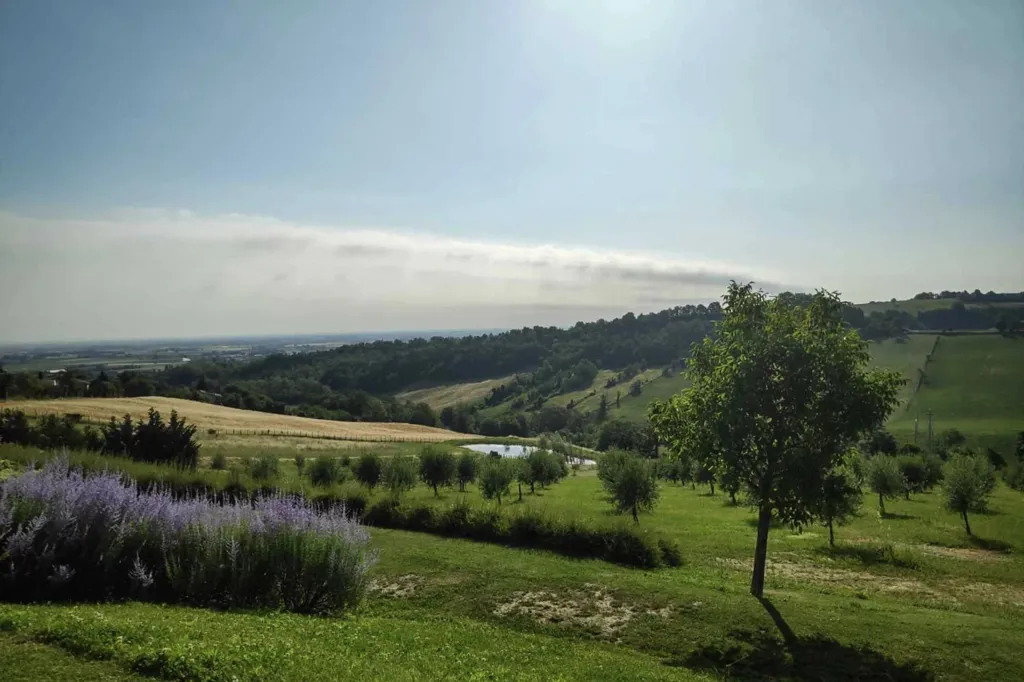 Jardin - Modern Villa with Pool and Spa near Parma