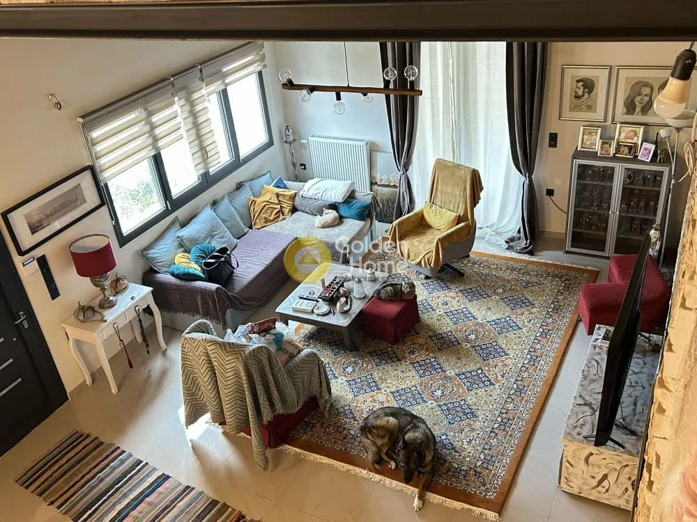 Séjour - Modern Villa with Garden in Artemida