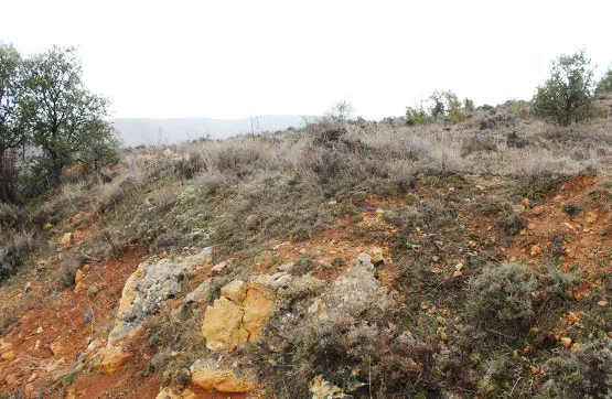 Aed - Large Agricultural Plot in Tordellego, Guadalajara