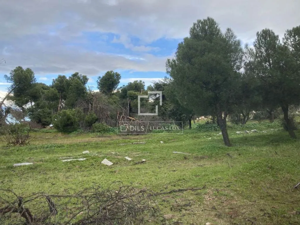 Jardin - Plot with Garden in Majadahonda