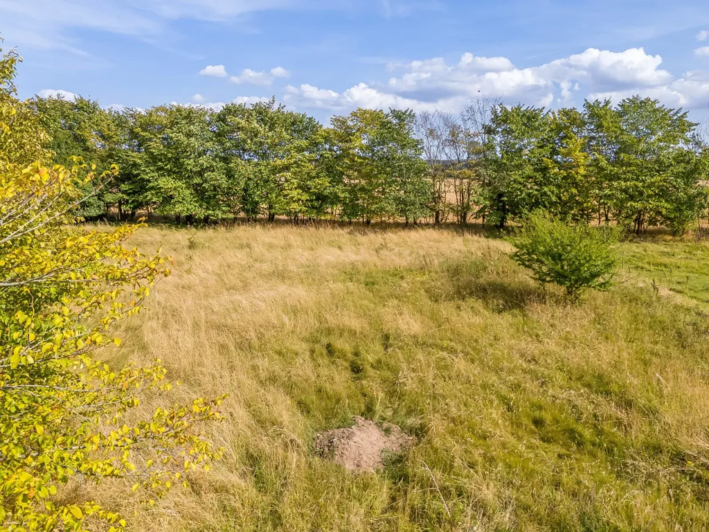 Jardin - Year-Round Plot with 5G Coverage in Haslev
