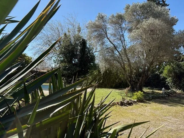 Aed - Architectural House with Pool in Saint-André-de-Sangonis