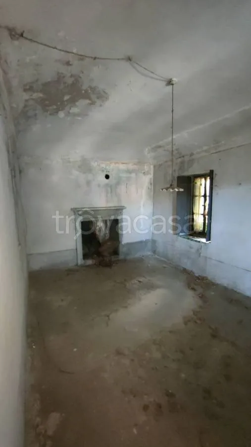 Toad - Rustic Cottage for Renovation in Caprie