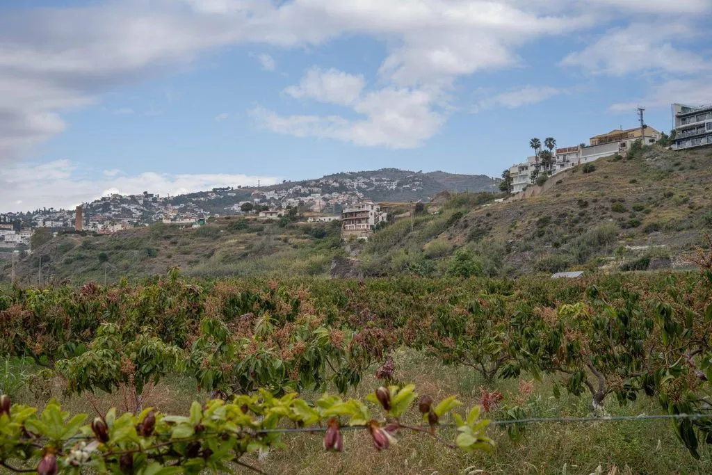 Development Land with Sea View in Salobreña