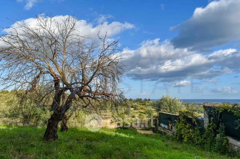 Jardin - Villa with Sea View near Noto