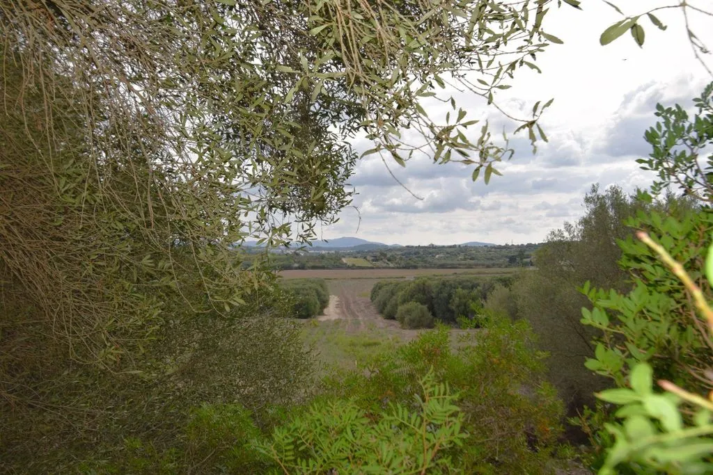 Aed - Rustic Plot with House Project in Muro