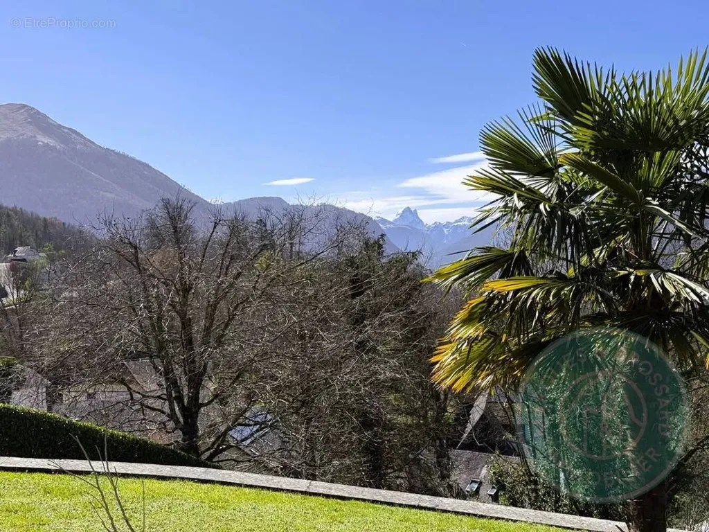 Jardin - Maison d'Architecte avec Vue sur le Pic du Midi d'Ossau
