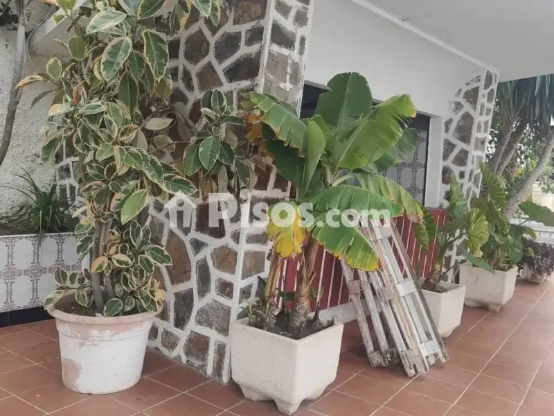 Garden - Chalet with Pool on Carretera de San Antonio