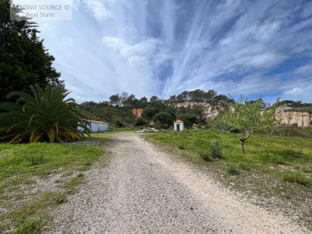 Jardin - Luxury Detached Villa with Pool in Casal das Figueiras
