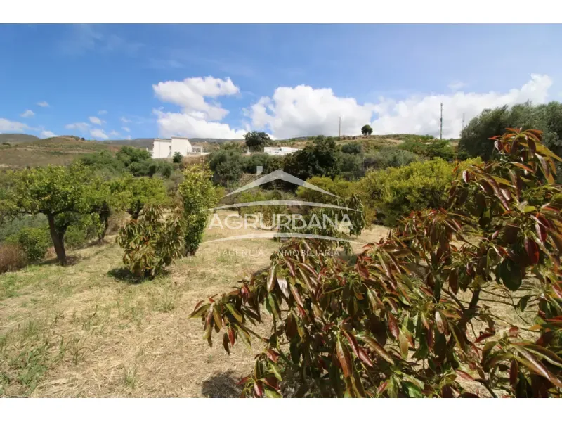 Aed - Rustic Farmhouse with Fruit Trees in Órgiva