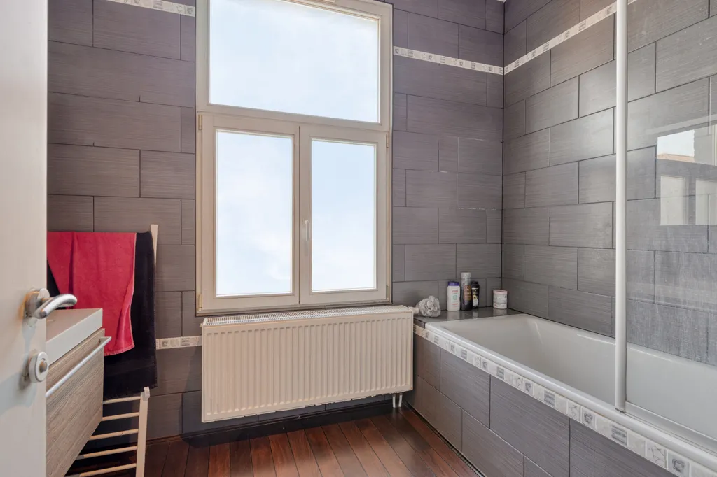 Vannitoad - Bright House with Terrace in Antwerp