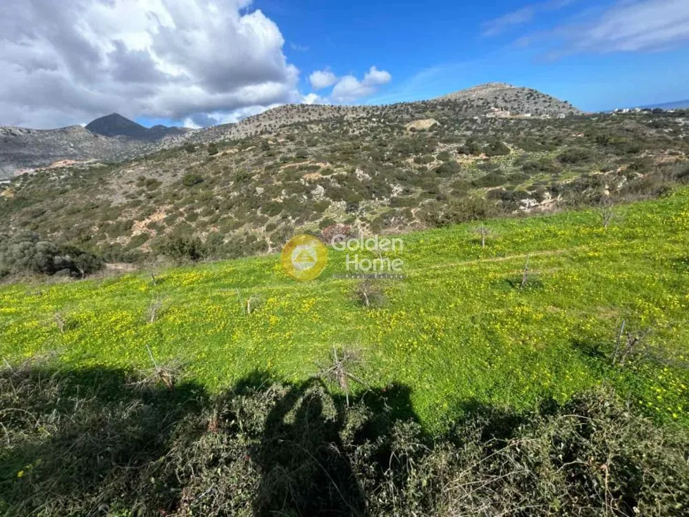 Aed - Plot with Sea View in Malavizi, Tylisos
