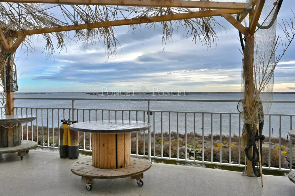 Terrasse - Ferme de Coquillages avec Restaurant sur l'Étang de Thau