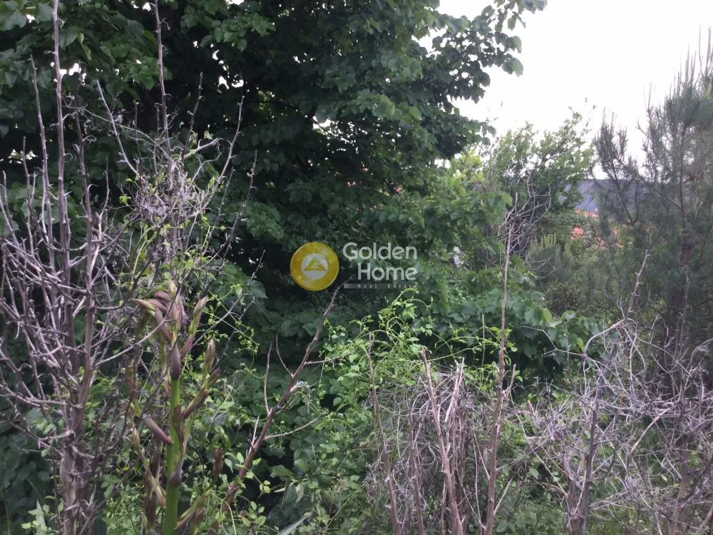 Aed - Buildable Plot with Mountain View in Peuka Centre