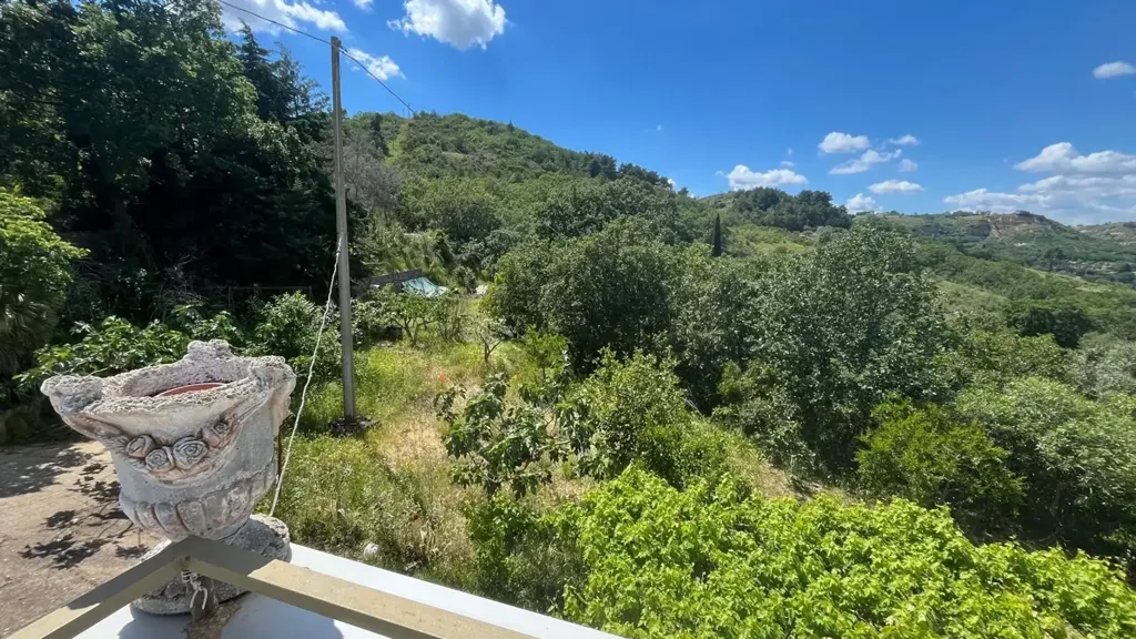 Terrass - Villa with Olive Grove near Miglionico