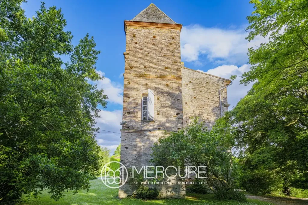 Esterno - 17th-Century Château with Pool in Haute-Garonne
