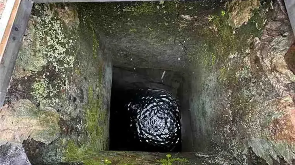 cellar
