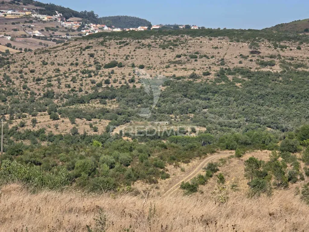 Jardin - Rustic Land with Approved Project in Mafra