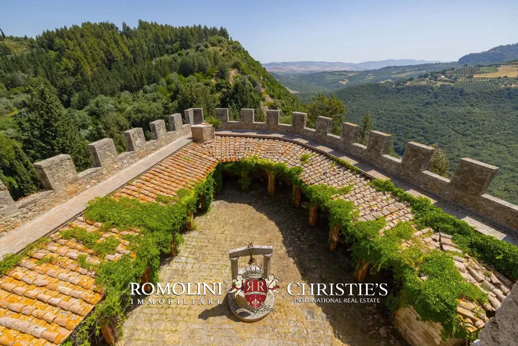 Aed - Medieval Castle with Panoramic Views in Val d'Orcia