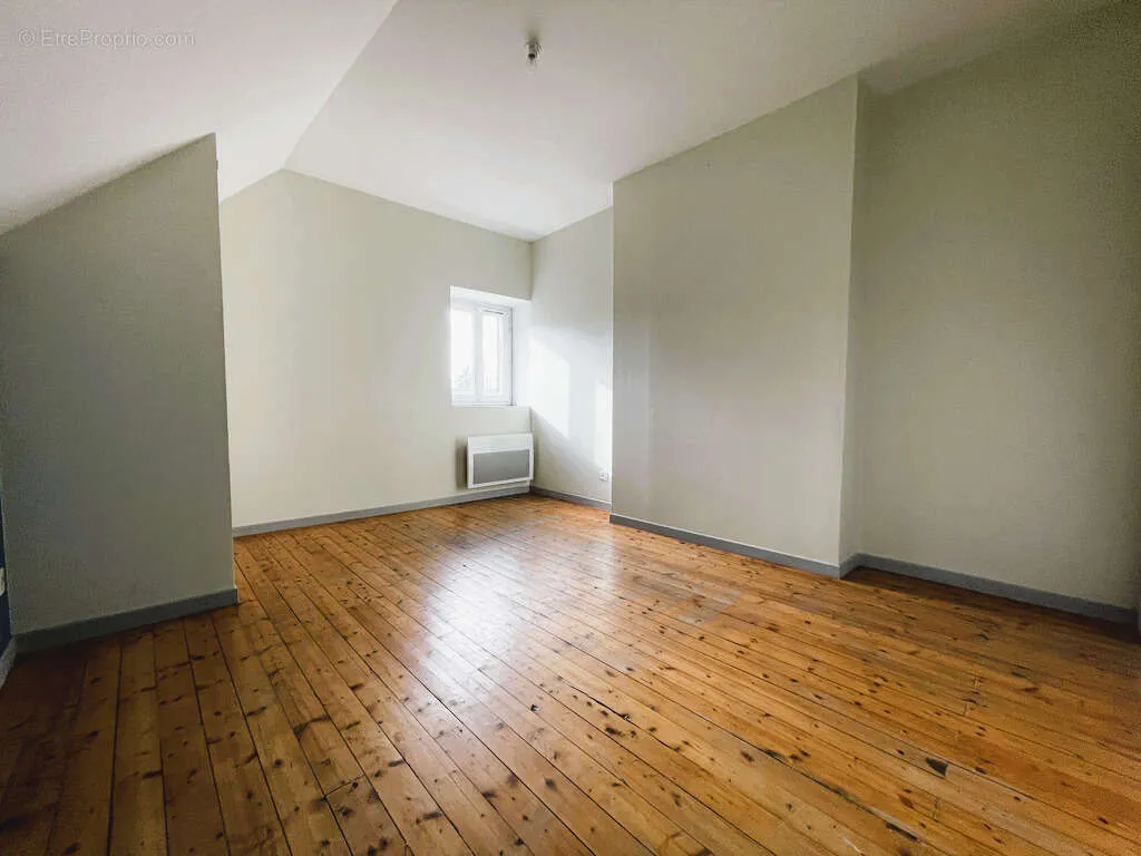 Toad - T2 with Large Cellar in Central Location