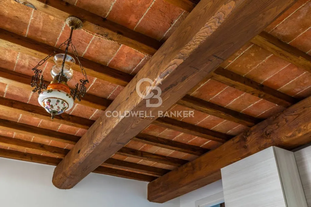Toad - Rustic Terraced House with Panoramic Terrace in Collazzone