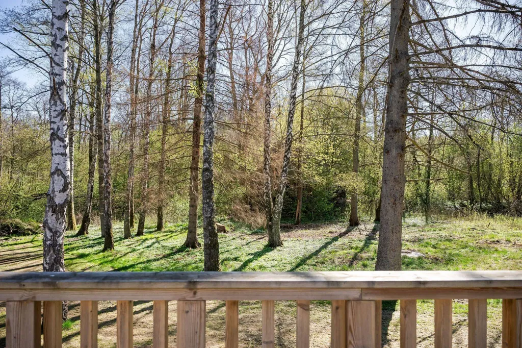 Aed - New Bungalow with Forest View in Hörby