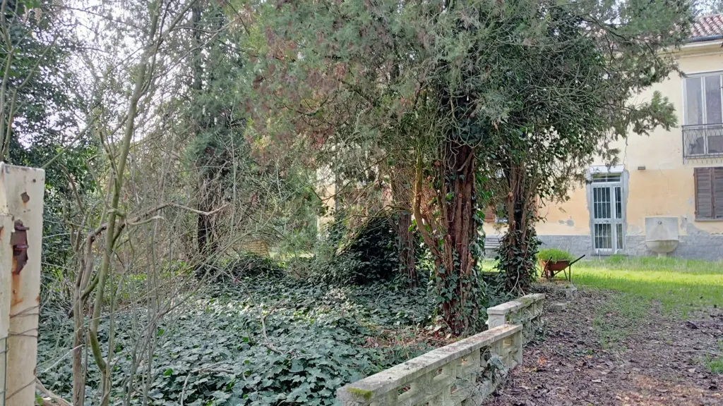 garden