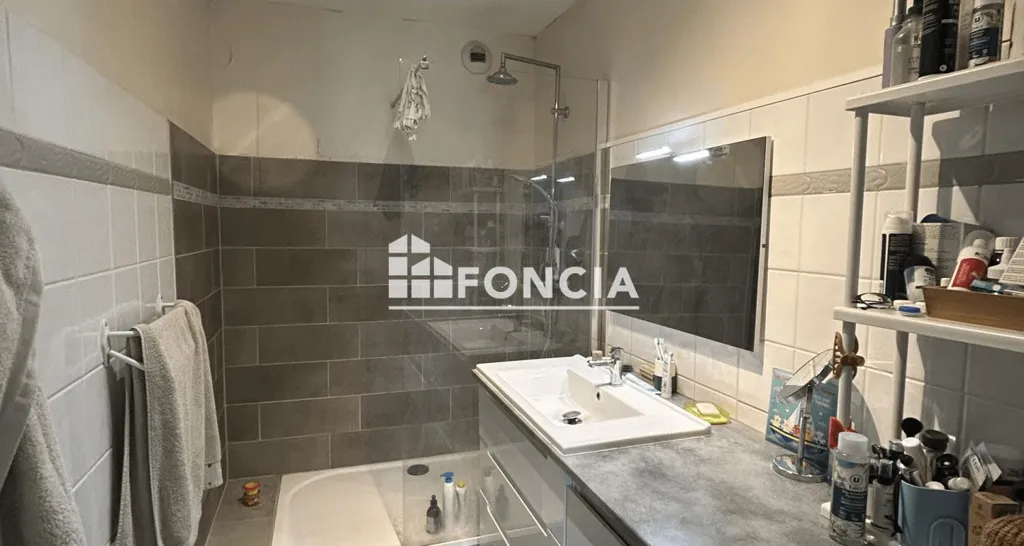 Vannitoad - Spacious Flat in Hyper Centre Izeaux