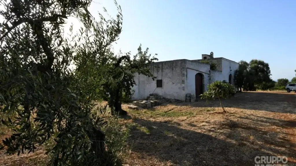Extérieur - Rustic Casali with Olive Grove in Ostuni