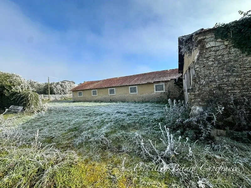 Exterior - Character House with Large Annex in Bord
