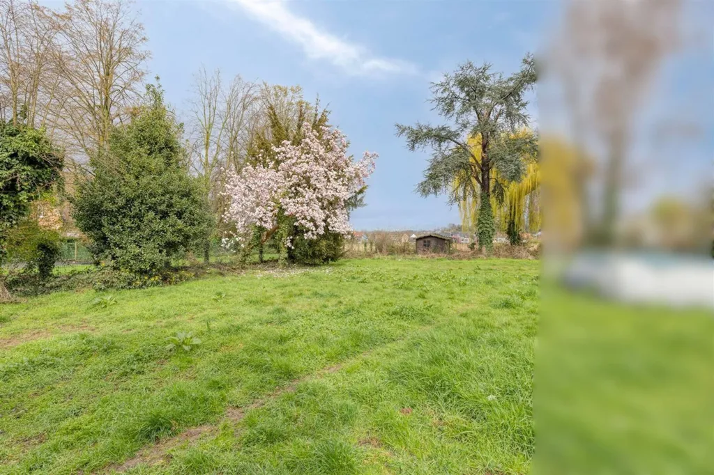 Jardin - Maison avec Terrasse à Huizingen