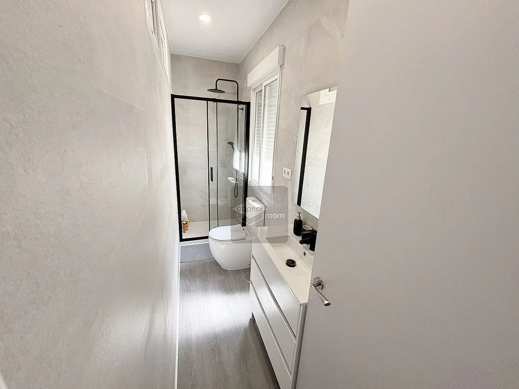 Fully Furnished Flat in Recoletos, Madrid