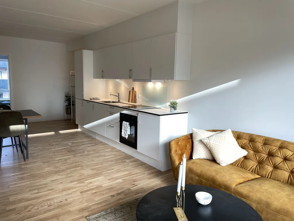 Appartement 3 pièces à Odense