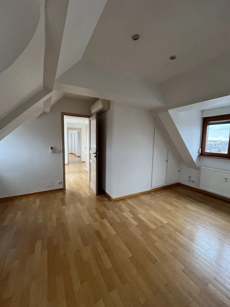 Pièces - Duplex avec Terrasse à Strasbourg République