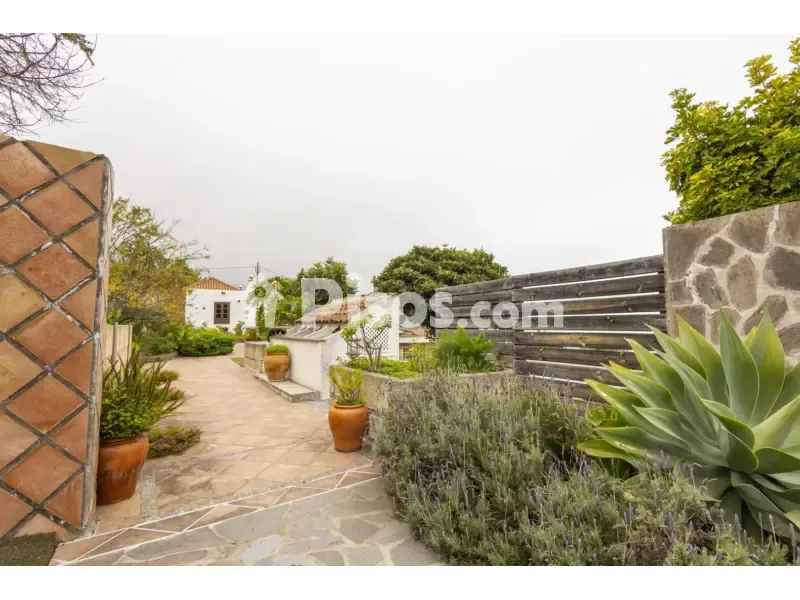 Jardin - Rustic Finca with Ocean Views in Boquín