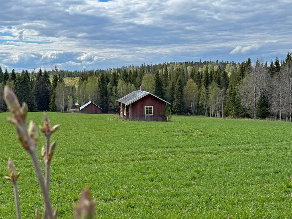 Aed - Farm with Land near Ås, Jämtland