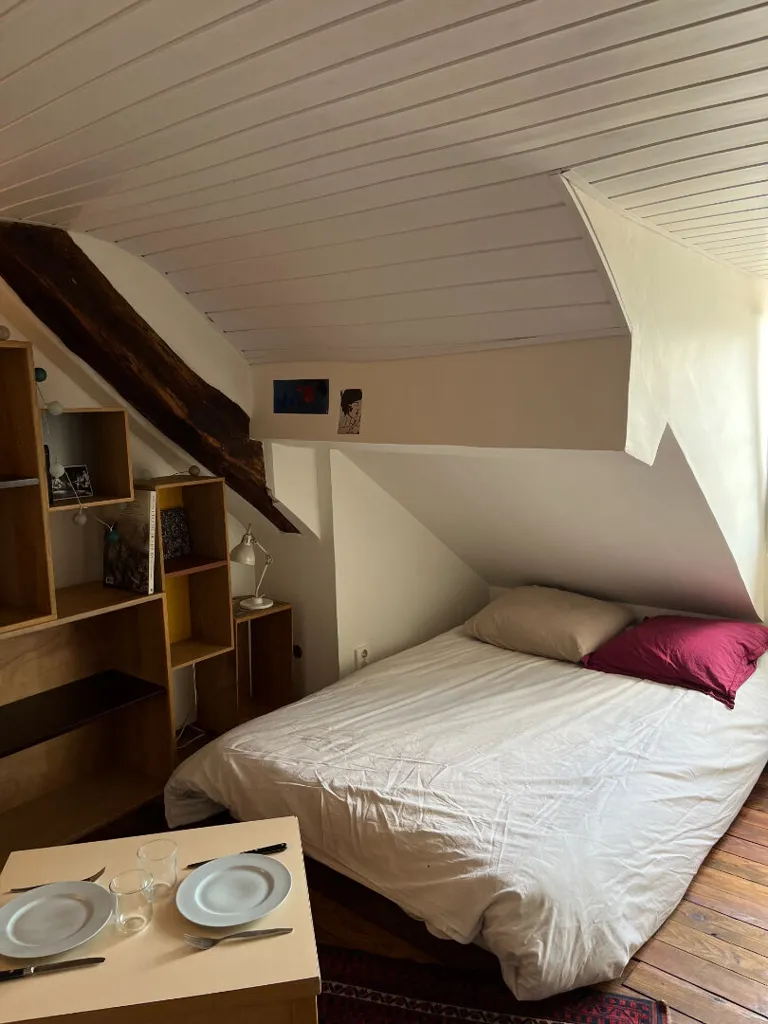 Chambres - Appartement avec Vue Dégagée à Paris Montmartre