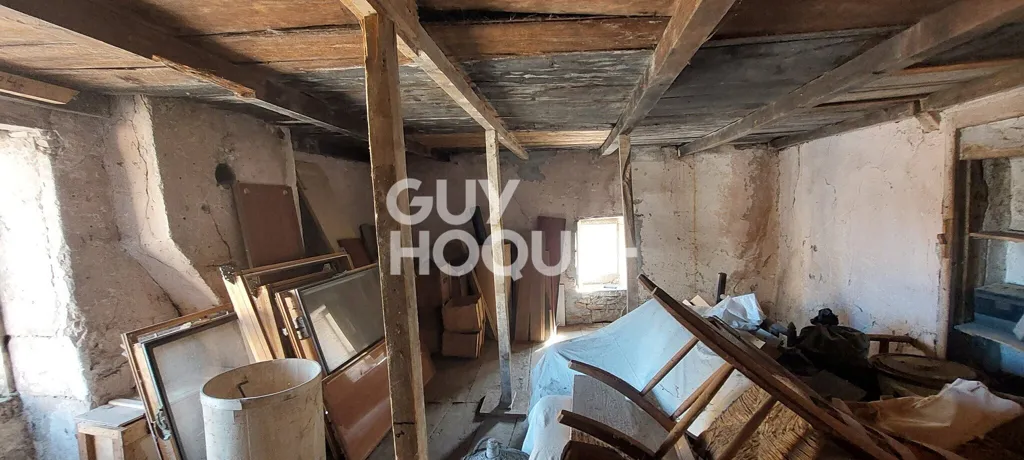Toad - Two-Unit Property with Renovation Potential in Hérisson-sur-Amby