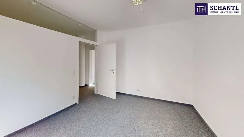 Toad - Commercial Space with A9 Access in Graz-Straßgang