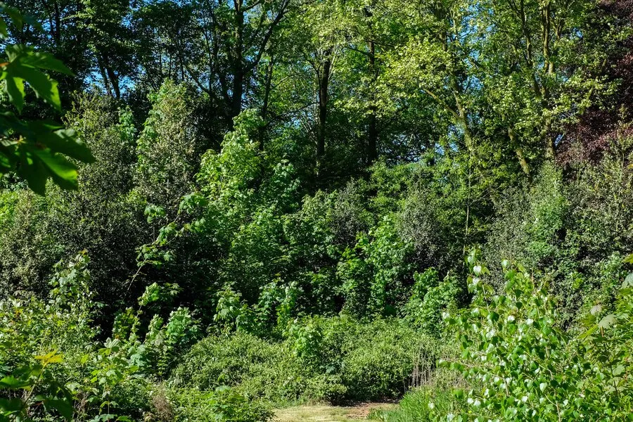 Jardin - Villa Caractéristique avec Parc de 2,7ha près de la Côte