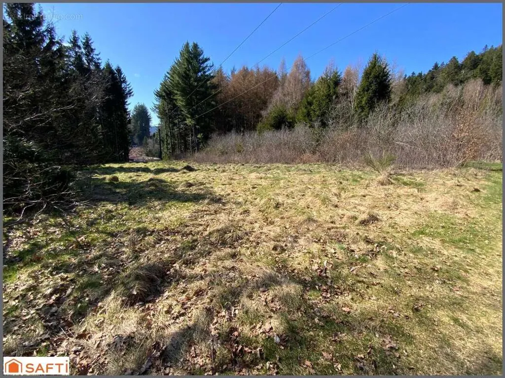Aed - Non-Constructible Land with South-East Exposure in Le Tholy