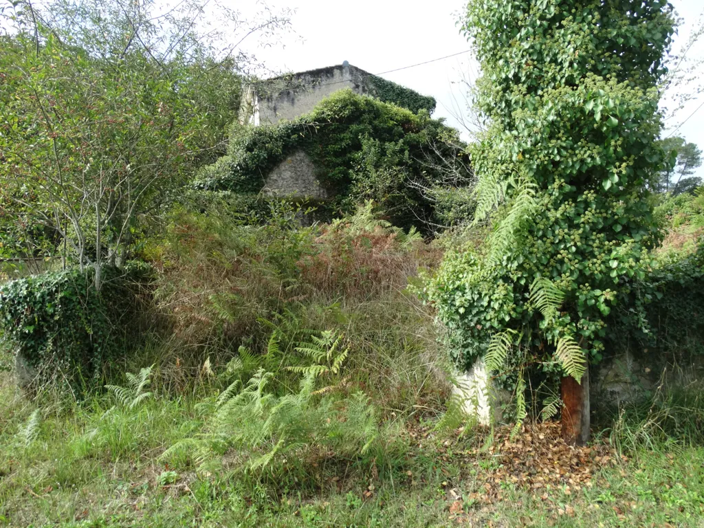Jardin - Maison en Pierre à Rénover à Illats