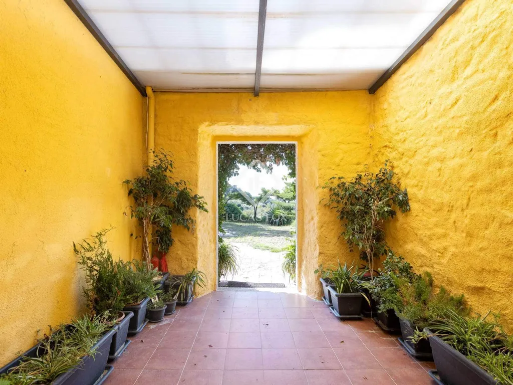 courtyard