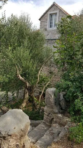 Aed - Villa with Sea View in Stari Grad