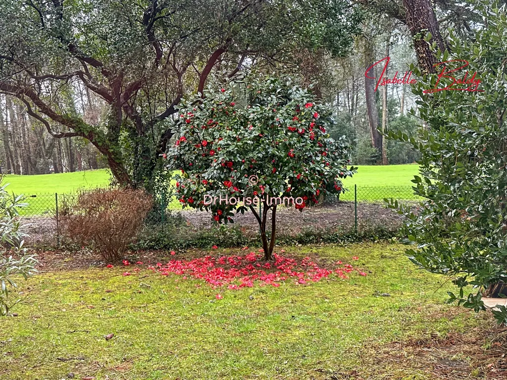Jardin - Rez-de-jardin avec Jardin au Golf d'Hossegor