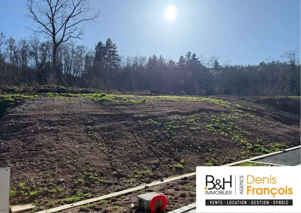 Aed - Viabilised Plot in Katzenthal near Colmar