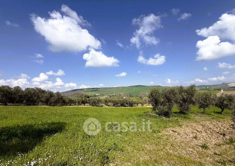 Garden - Rustic Farmhouse with Garden in Loro Piceno