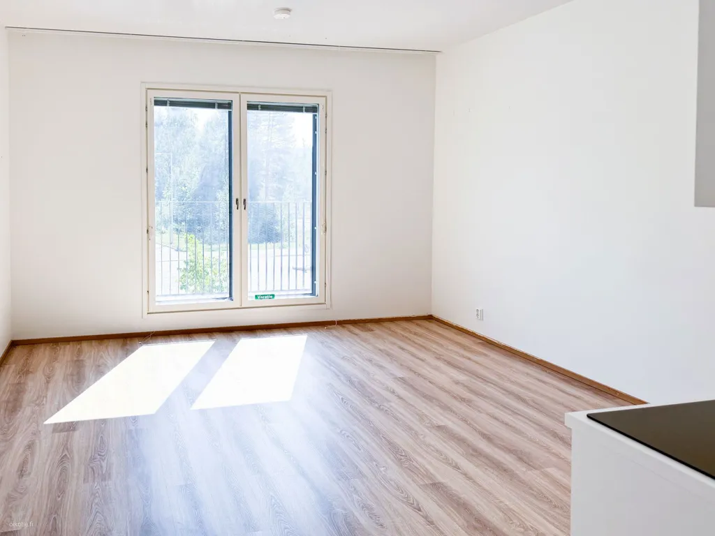 1-room apartment in FI